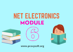 NET ELECTRONICS MODULE 6